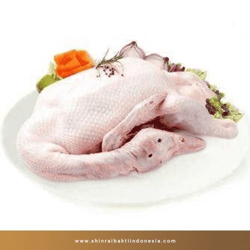 Bebek Mager sbi Bebek Mager sbi